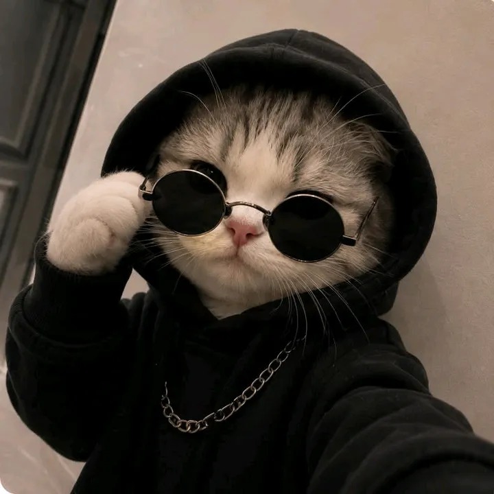 @anasrullah_23